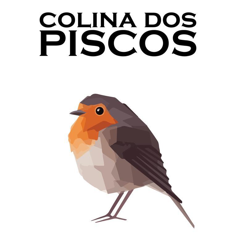 Colina Dos Piscos Hotel Casais da Abadia Eksteriør billede